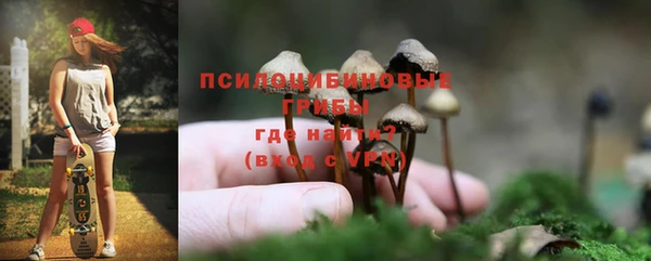 mix Армянск